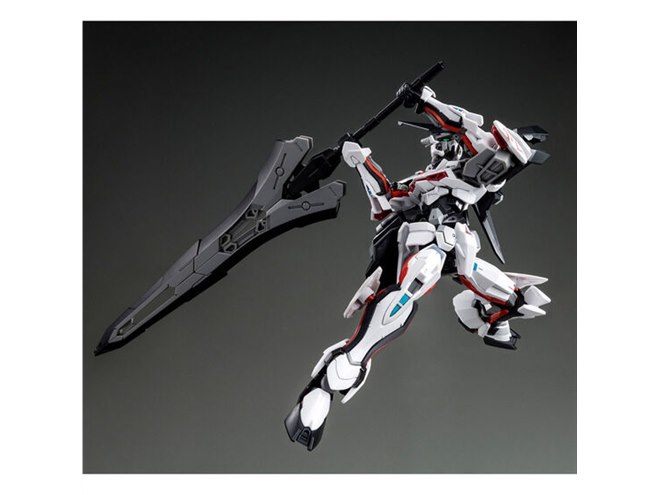ガンプラ 「ロードアストレイΩ」含む6点 機動戦士ガンダムSEED ASTRAY 天空の皇女」よりロードアストレイ