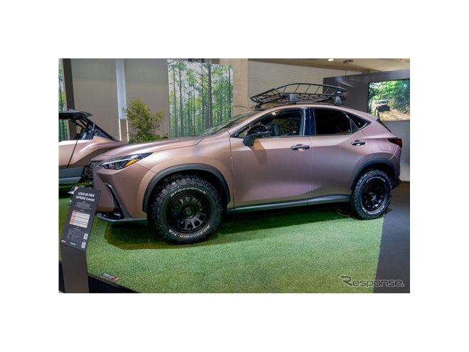 【激レア】非売品　LEXUSレクサス★3Dクリスタル★オープンカー置物 LEXUS|LEXUS|HARDOFFオフモール（オフモ）|1080320000009857