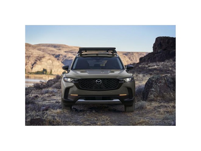 オルカ彫刻額縁 カナダMAZDAマツダ 自動車メーカー,マツダ株式会社