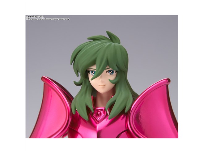 Amazon.co.jp: TAMASHII NATIONS 聖闘士聖衣神話 聖闘士星矢