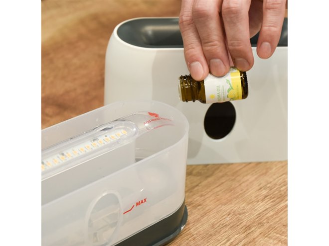 炎のゆらめきを再現、サンコーがミニ加湿器「ミストでTAKIBI」を5,480