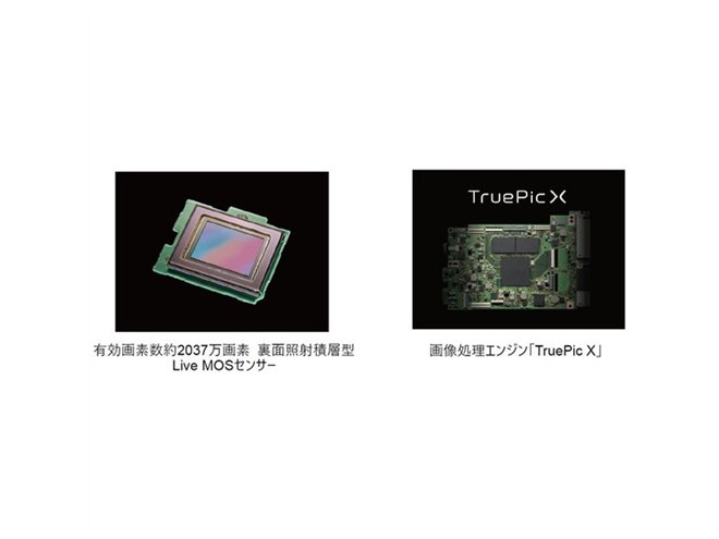 ※限定値下げ中※【ショット数8347】OM SYSTEM OM-1 ボディ 限定値下げ中※【ショット数8347】OM SYSTEM OM-1 ボディ - メルカリ