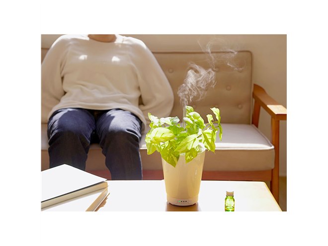 ライソン、人工グリーンからミストが噴き出すアロマ加湿器「GREEN