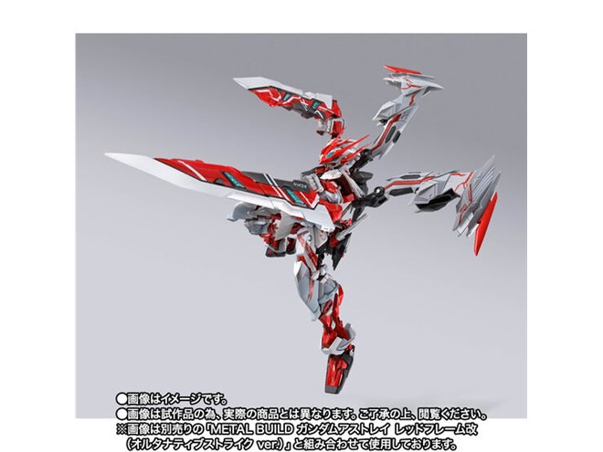 メタルビルドレッドドラゴン オプションセット 5点セット