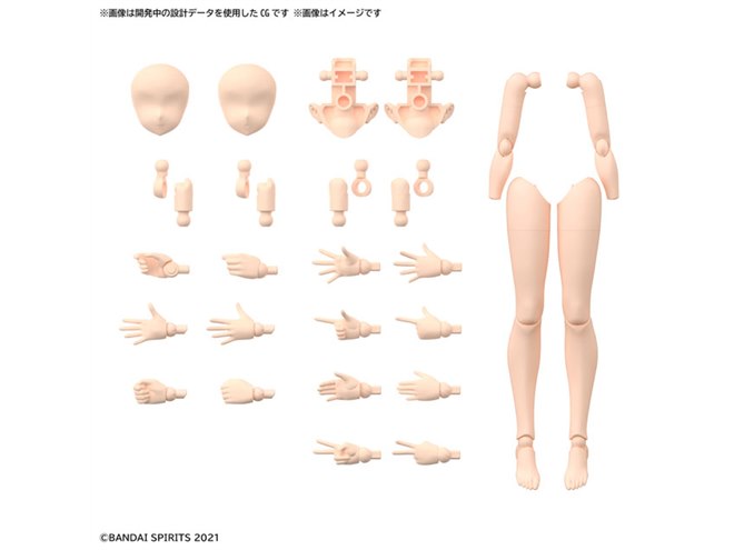 30MS本体 オプションパーツまとめ売り　バンダイ Amazon | BANDAI SPIRITS(バンダイ スピリッツ) 30MS オプション