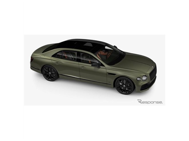 月野　ウサギ　ページ　 新品　ベントレー　BENTLEY 　荷物　固定 20240911180009_908_.jpg