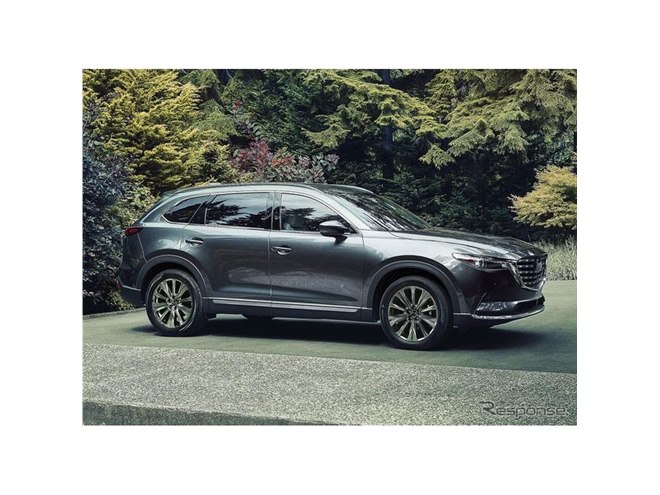 全部セットで11万円即決　9万値下げしました。 まとめ売り（カセットのみ） Amazon.co.jp: Mega Man Zero/Zx Legacy