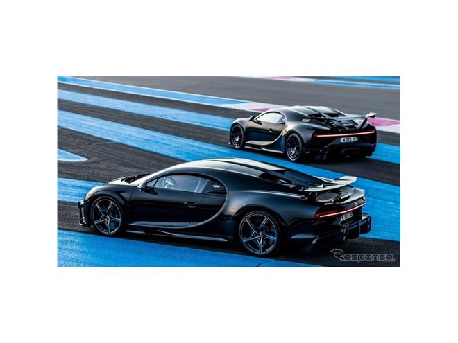 最新品種　Bugatti(부가티)錦1品限定　BIG王特大群生　　　根カット ブガッティ、新型車を発表へ…12月21日 - 価格.com