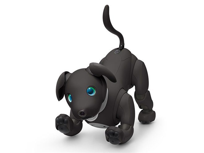 ソニー、「aibo（アイボ）」の2023年カラー「エスプレッソ エディション」予約開始 - 価格.com