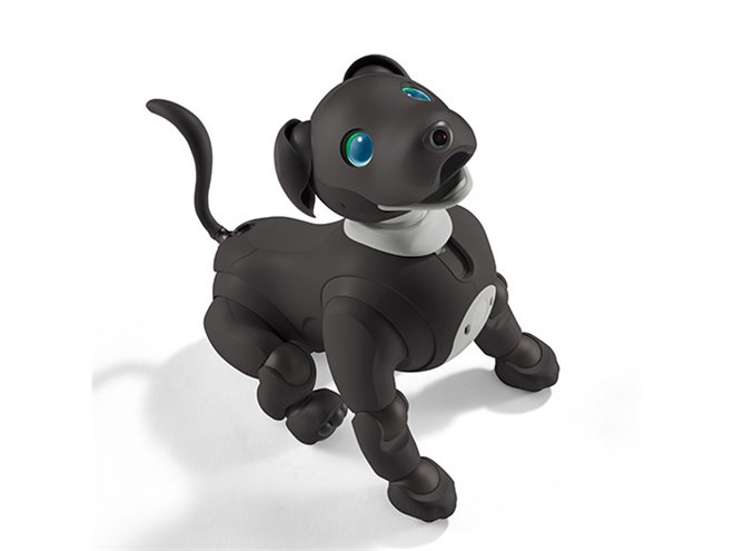 aibo（アイボ）」の2023年カラー「エスプレッソ エディション」が本日1/25発売 - 価格.com