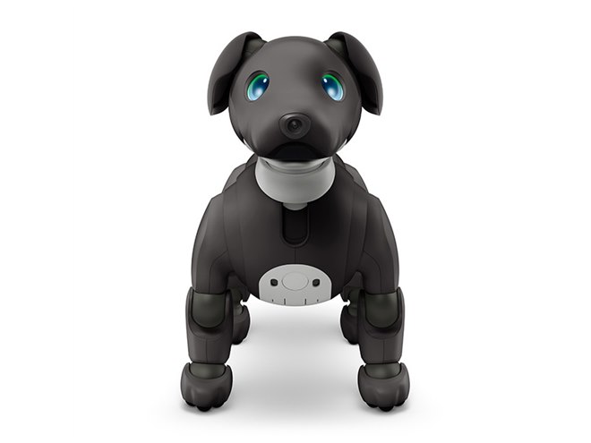 ソニー、「aibo（アイボ）」の2023年カラー「エスプレッソ エディション」予約開始 - 価格.com