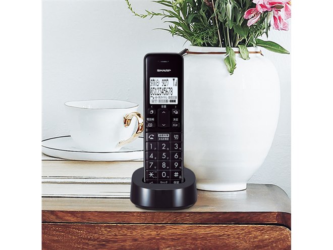 �uJD-SF3CL�v�i�J���[�F�u���E���n�j