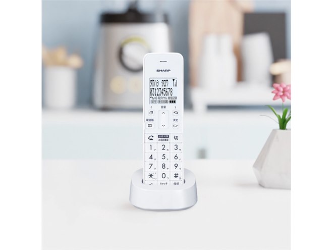 �uJD-SF3CL�v�i�J���[�F�z���C�g�n�j