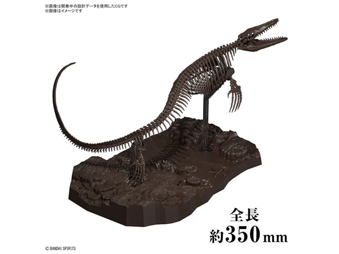 バンダイ、生物学に基づいた全長約350mmの固定骨格モデル