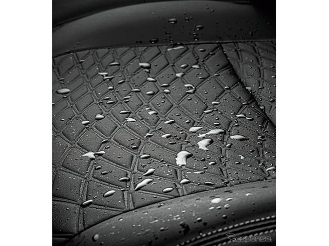 ���Y ���[�N�X �n�C�E�F�C�X�^�[ �A�[�o���N���� �h���V�[�g