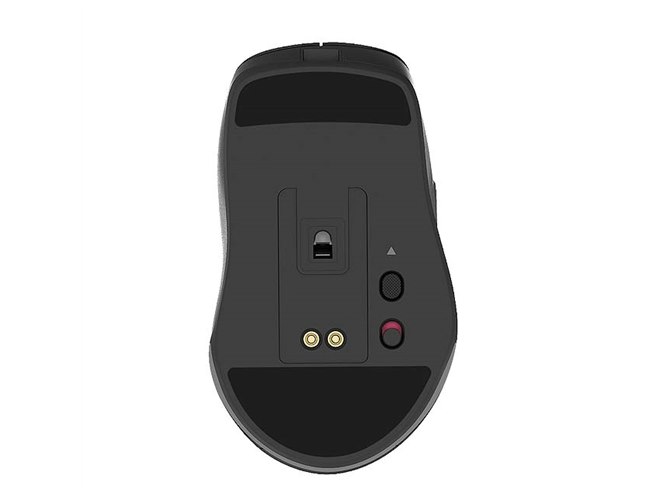 RACEN RGB ���C�����X�Q�[�~���O�}�E�X CRC-WGMRGB01