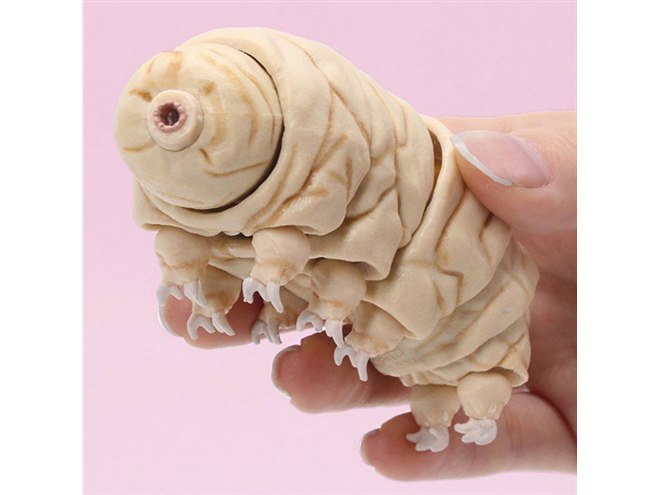 世界最強”極小生物「クマムシ」が10000％大の可動カプセルトイで登場