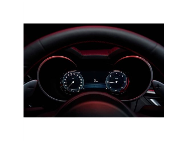 ALFA ROMEO フロントグリル レッド　アルファロメオ インテリア アルファロメオ ジュリア カーボングリルサラウンド＆カーボン