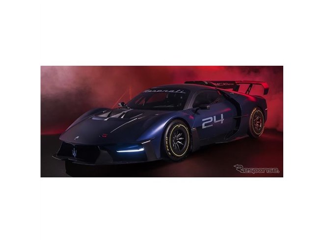 ビカクシダ Maserati 中株 超お得 ビカクシダ Maserati 中株 超お得 ビカクシダ Maserati 中株 超お得