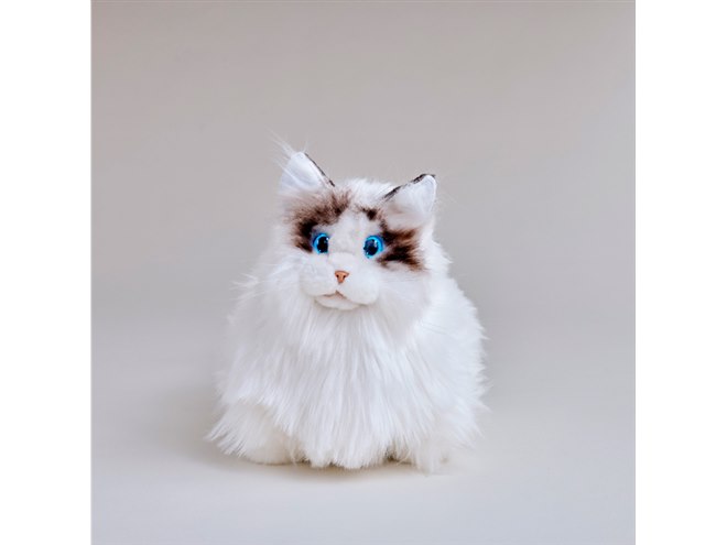 セガトイズ、“抱きしめると体温と鼓動を感じる”長毛猫「ラグドール」の