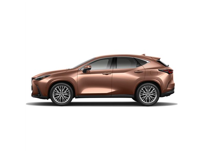 レクサス NX20系 オーバートレイル ジオレイヤー フロント ドアパネル