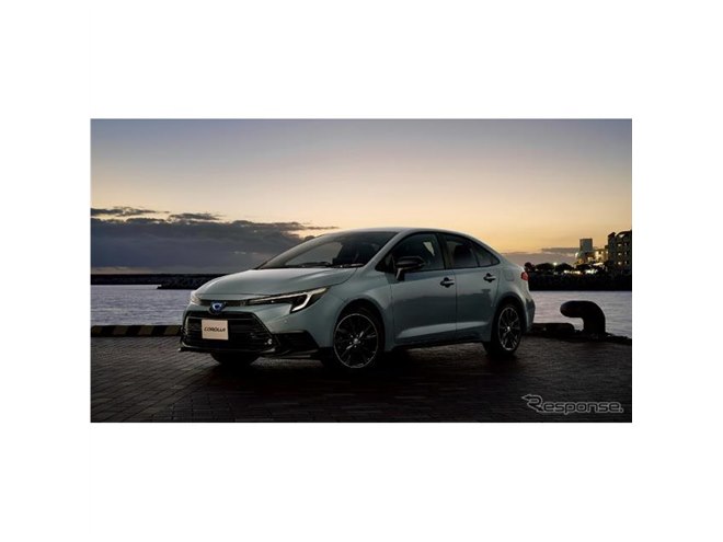�g���^ �J���[�� ���ʎd�l�� ACTIVE SPORT