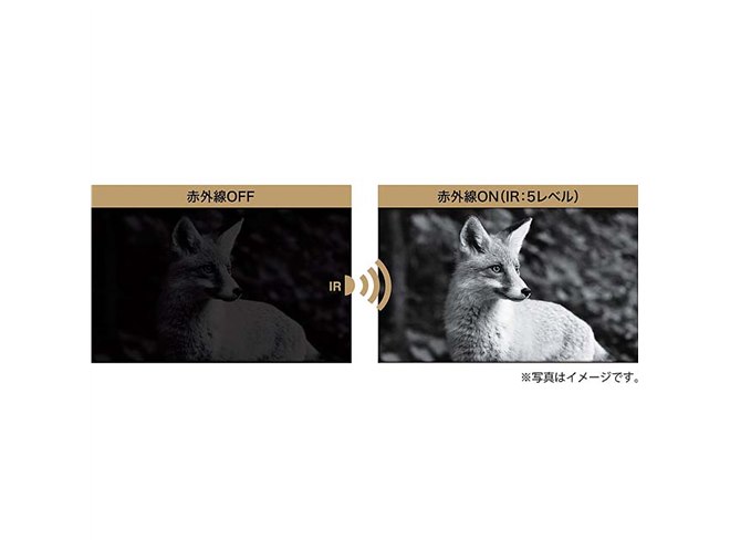 ケンコー、暗闇をモノクロ映像で映し出せる赤外線暗視カメラ - 価格.com