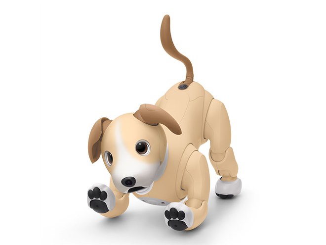 ソニー、「aibo」の2024年カラー「きなこ エディション」 - 価格.com