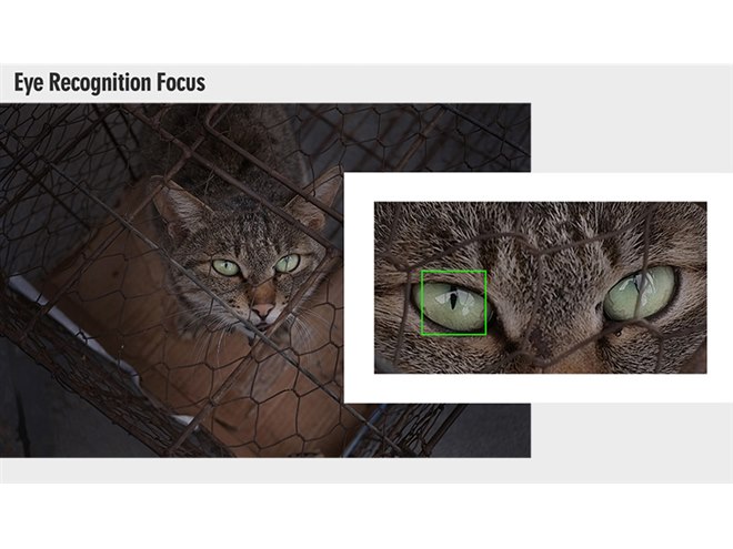 TTArtisan、「AF 27mm f/2.8 富士フイルムXマウント」新色シルバーを