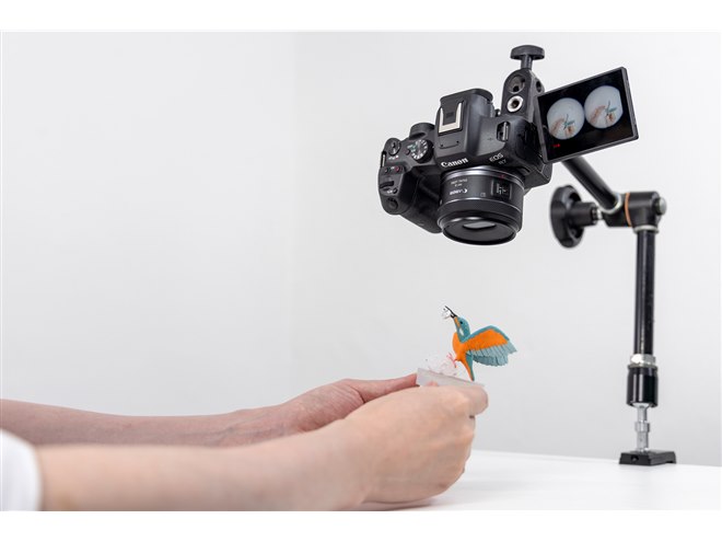 【中古品】CANON レンズ　RF-S7.8mm F4 STM DUAL 新品)Canon (キヤノン) RF-S7.8mm F4 STM DUAL（商品ID