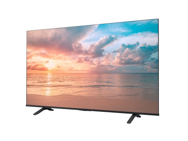 REGZA 65インチ Airplay 4K 液晶 65E350M テレビ REGZA レグザ 4K液晶TV 65V型 4Kチューナー内蔵 65E350M (大型配送対象