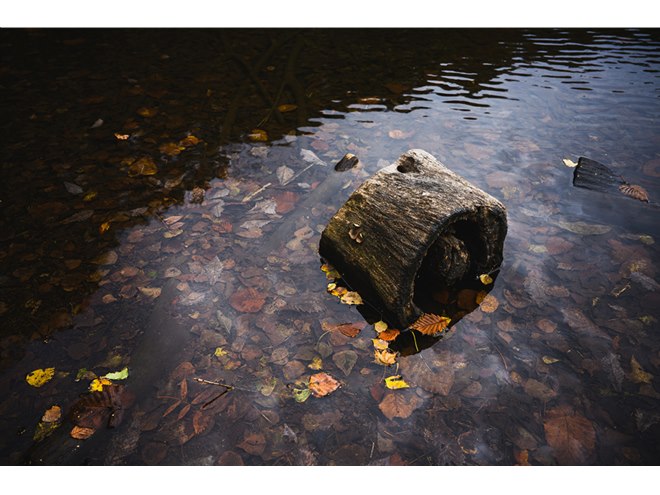 コシナ、広角単焦点レンズ「APO-LANTHAR 28mm F2 Aspherical」のニコン