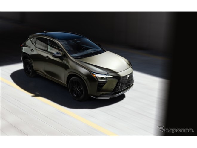 ���N�T�X NX �V�^