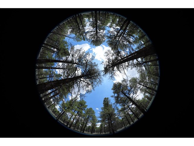 ソニー、同社初のEマウント用魚眼ズームレンズ「FE 8-14mm F3.5