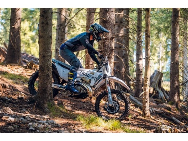 �n�X�N�o�[�i TE 300 PRO 2027�N���f��