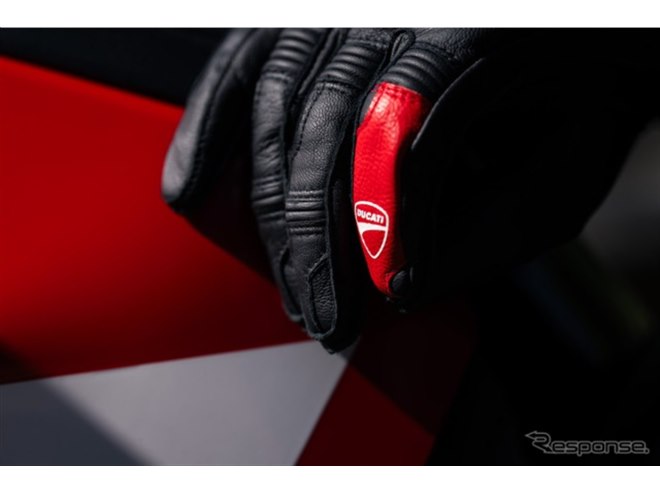 �h�D�J�e�B �����e�B�X�g���[�_V4 �p�C�N�X�s�[�N2027