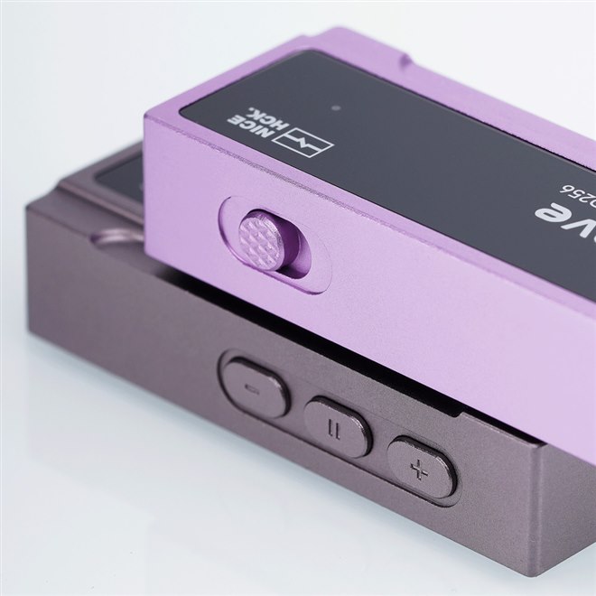 P.Vadee OC【ビカクシダ　バディー　OC株】 P.Vadee OC【ビカクシダ バディー OC株】