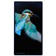AQUOS PHONE Xx 302SH