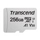 TS256GUSD300S