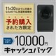 10,000円キャッシュバックキャンペーン（VG）