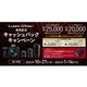 LUMIX G9PROIILOLbVobNLy[