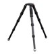 SCT-33/AD-SWOr