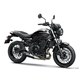 �J���T�L Z650RS Black Ball Edition�i�G�{�j�[×���^���b�N�X�p�[�N�u���b�N�j