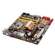 [P5QL-EM] G43 Express`bvZbg𓋍ڂLGA775pATX}U[{[h