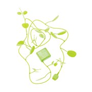 [AC Adapter MIDORI] �ϗt�A�������`�[�t�ɂ����O���[����AC�A�_�v�^�[