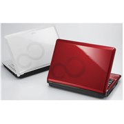 [FMV-BIBRO LOOX M/D10] Atom N270/1GB�������[/160GB HDD�������10.1�^�t������Netbook�B���i�̓I�[�v��