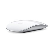 [Magic Mouse]