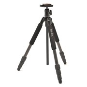 [�J�[�{���X�v�����g 634 PRO]