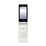 [docomo STYLE series SH-06B]