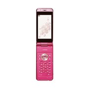 [docomo STYLE series P-06B]